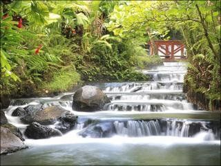 Tabacon Grand Spa Thermal Resort Arenal Exterior photo